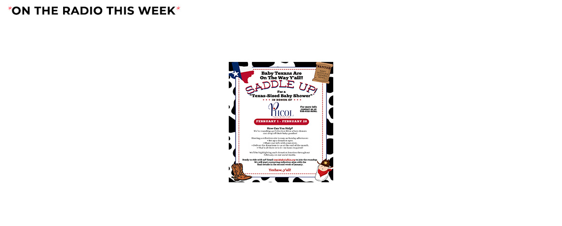 TEXAS SIZED BABY SHOWER